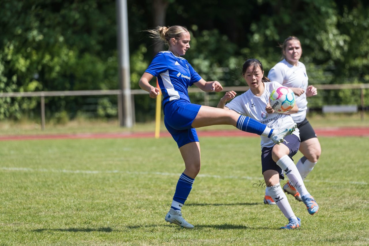 Bild 143 - wBJ VfL Pinneberg - Harksheide : Ergebnis: 2:1